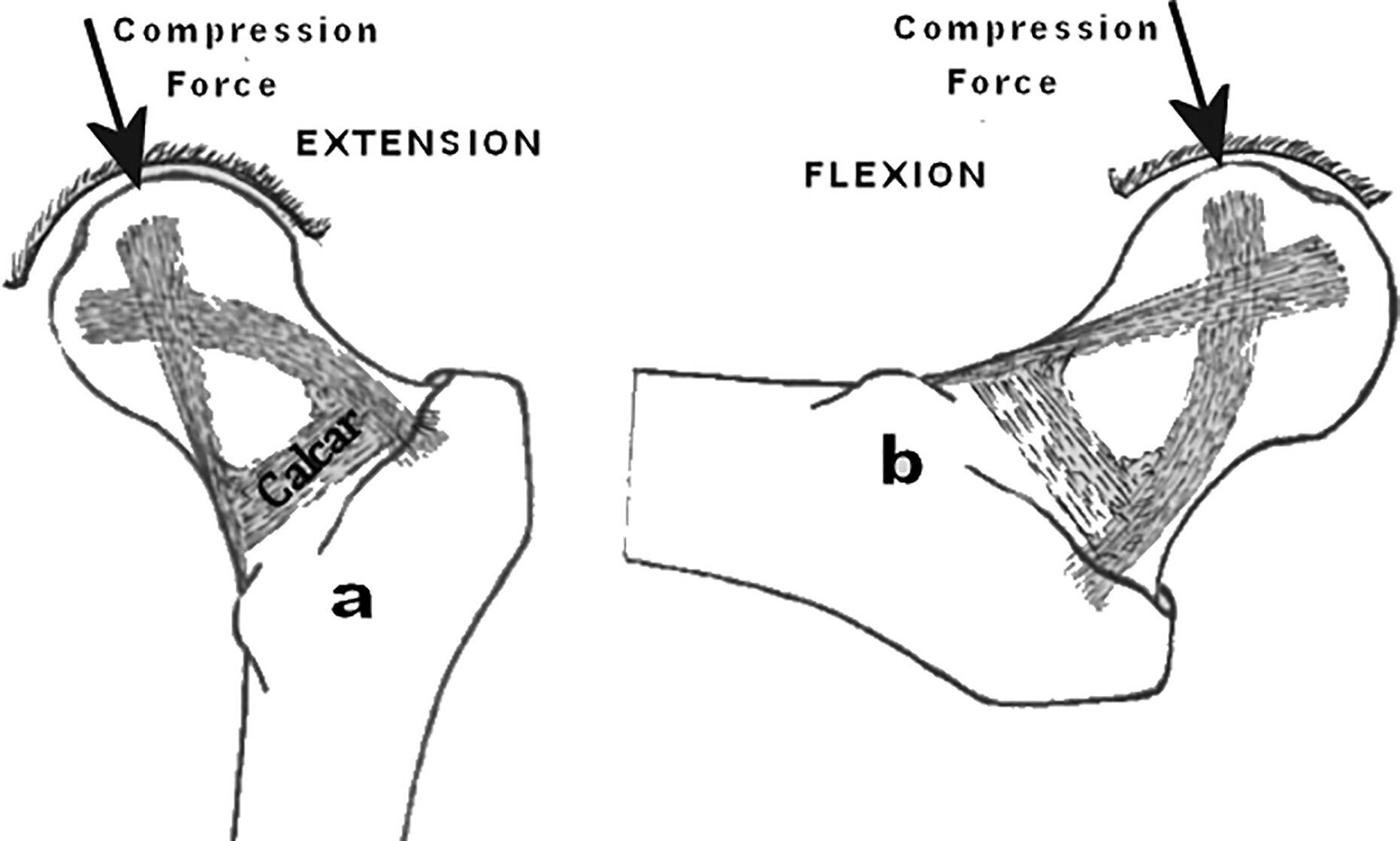 中村輪業さんの“軽car” カルカーティアのブログ