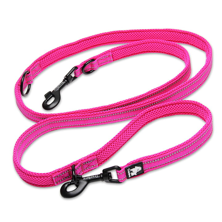 Lead Like the Real You: Wisdom for Women on Finding Your Voice, PursuingGod's Calling, and Leading With Courage