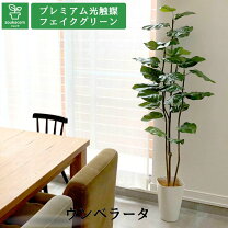 楽天市場 造花ドットコム フェイクグリーンの通販