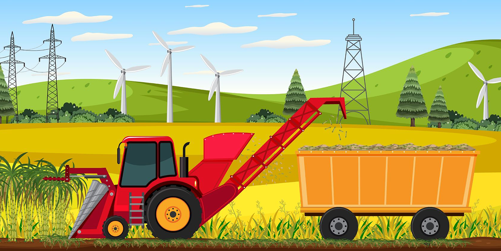 収穫適期幅が長く安定多収なサトウキビ新品種候補系統「KF92T-519」