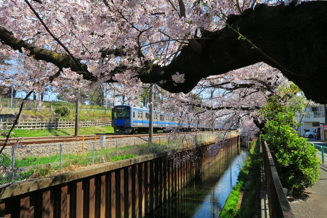武蔵関駅の家賃相場最も安いエリアや、一人暮らし・家族世帯にオススメのエリアも解説！住まい百科オンライン