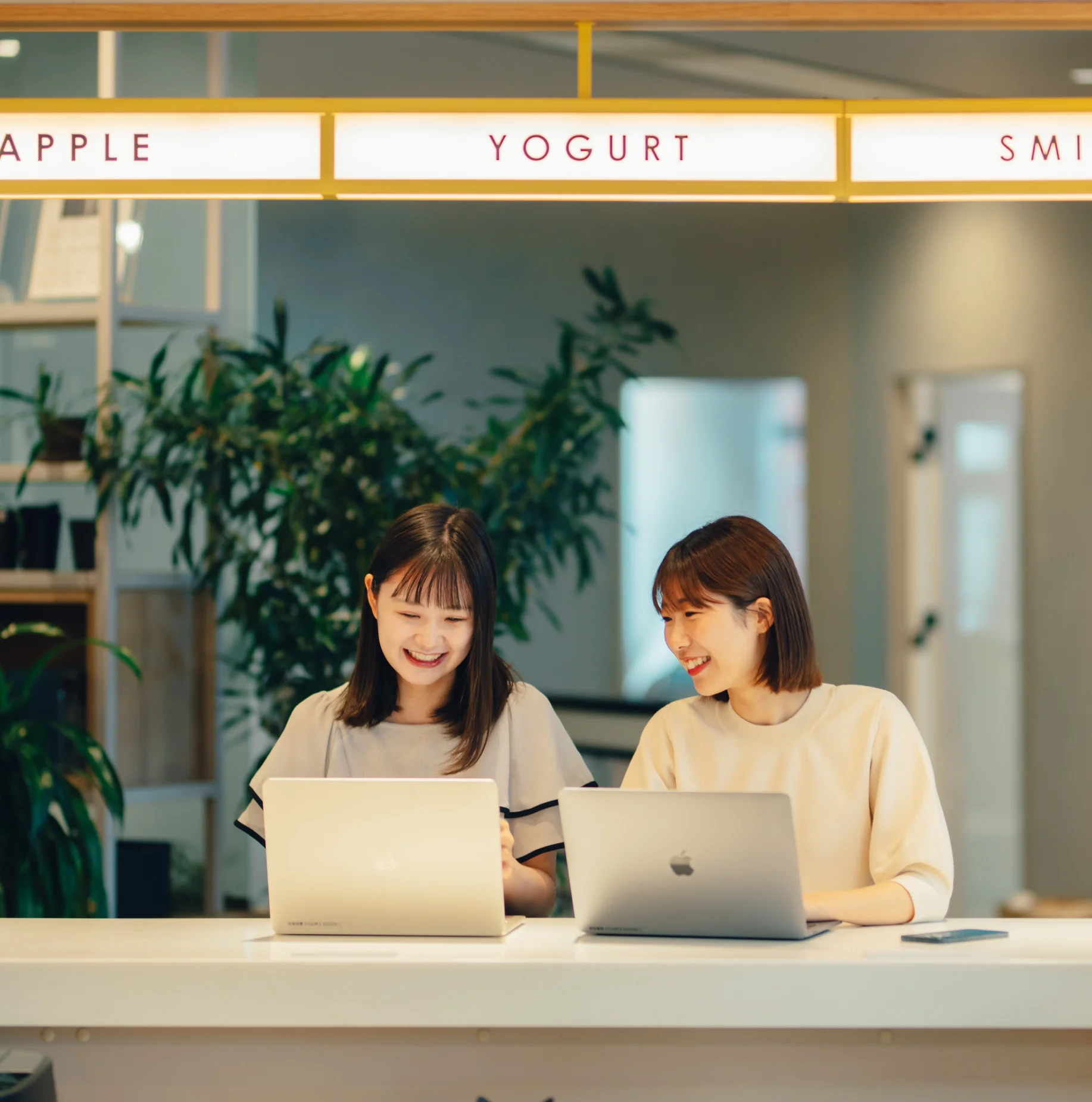 株式会社白泉社の求人情報 ファンに愛される！ノラネコぐんだん グッズ企画・デザイナー2577174転職・求人情報サイトのマイナビ転職