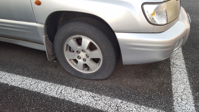 キャッツアイにやられました・ 筑波山 にて KENJのブログBorn to Run - みんカラ