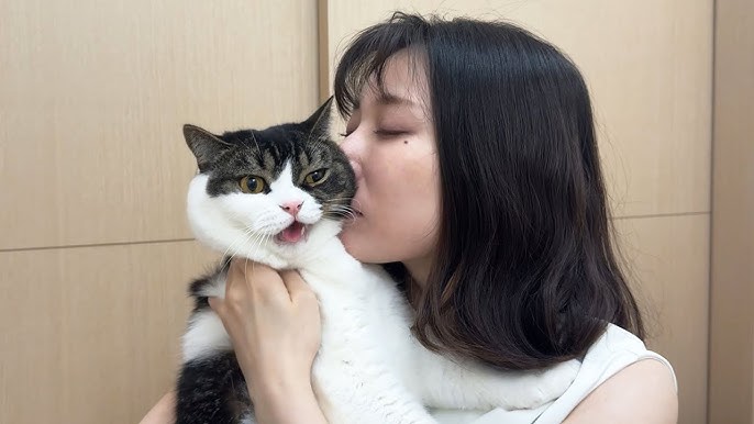 熱中症招く「ヨシ！」じゃない行動は？「仕事猫」啓発ポスターが秀逸 - withnews ウィズニュース