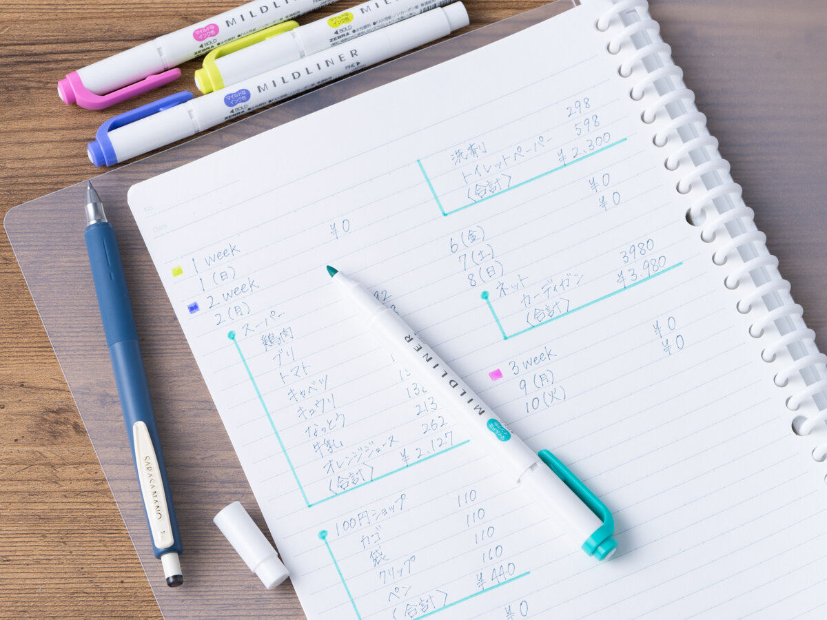 貯蓄型保険の家計簿の書き方例☆月１行書くだけなのに簡単分かりやすいずぼら節約主婦.com ☆ hanaの袋分け家計簿 節約貯金ブログ