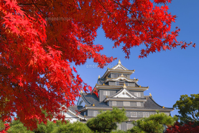 岡山市のブランド買取・リペア専門店NextLink ネクストリンク