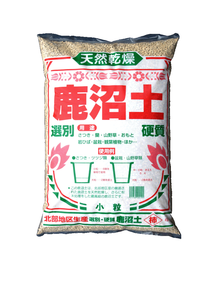 たにログ126比較 鹿沼土育成の紅葉と、赤玉土育成の紅葉を見比べると- やもまる夫婦はベランダで多肉まみれ