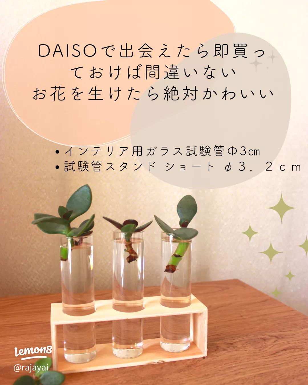100均の試験管で理系インテリア！クール＆スマートなアイデア21選☆暮らしニスタ
