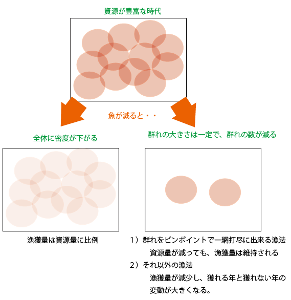中型まき網漁業の操業方法とは！？各地で使われる最新設備も紹介 - 海ペディア