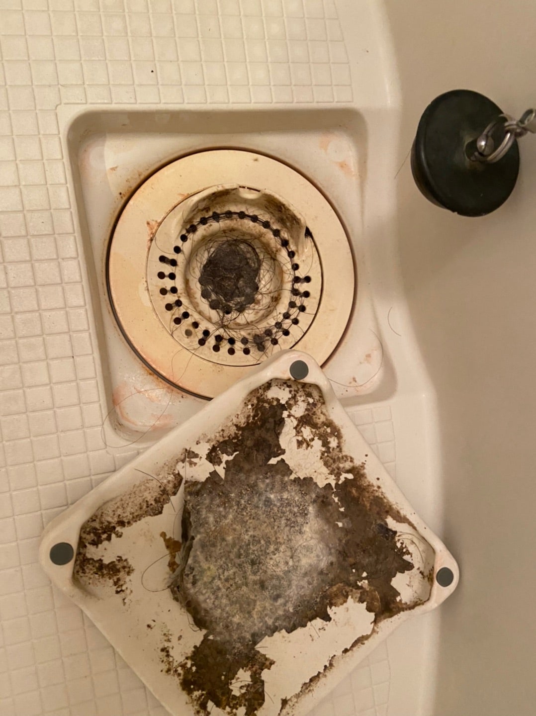 男やもめに蛆がわき、女やもめに花が咲く遠浅の果てに 見えるもの