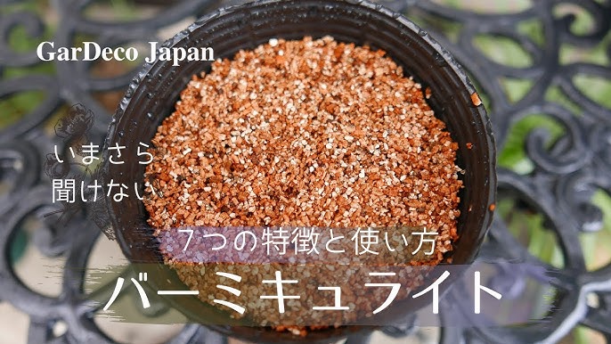 アガベの用土に必要？鹿沼土と赤玉土の違いについて解説 - 植物は枯らさない