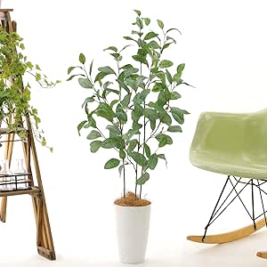 レビュー 造花ドットコムの評判は？リアル系フェイクグリーンおすすめ3選ボタニカルーム