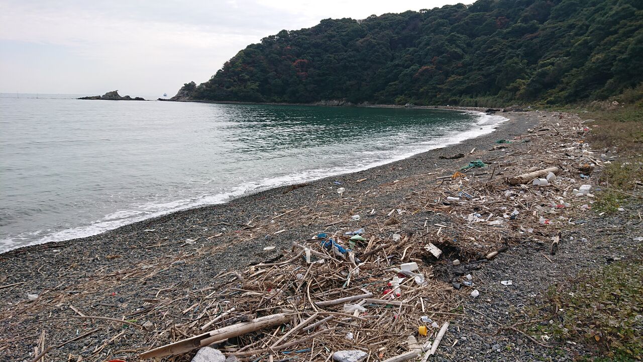 薪拾い│青いミラでソロキャンプ