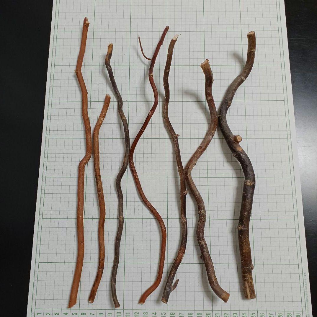 AmazonUiekeの柳の枝。柳刃包丁 オンライン通販