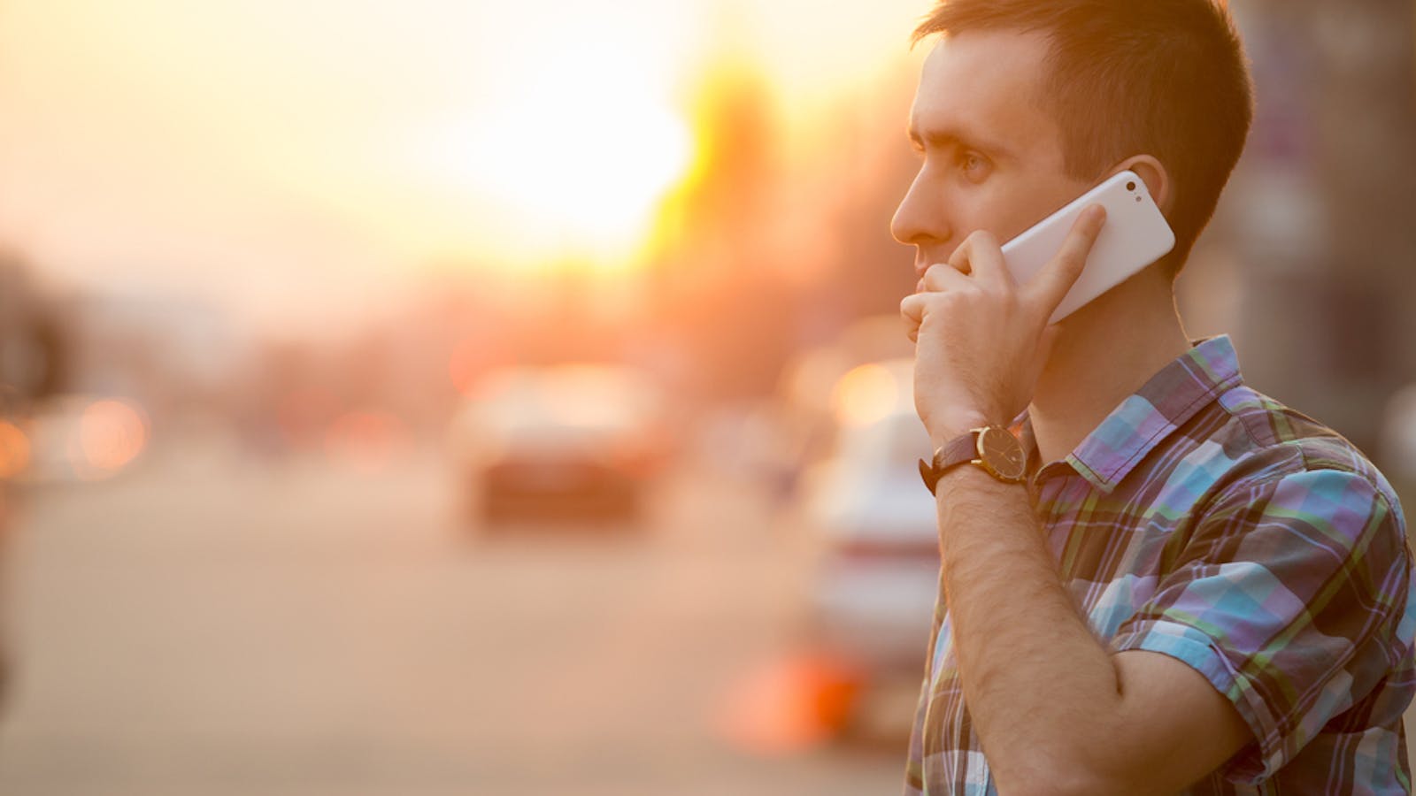 売約済 サンフランシスコガータースネーク♀ ピンクマウス餌付け済爬虫類小動物の買取＆販売 ルームズ