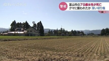 八代市・大谷川で土石流、集落を土砂覆う 熊本・記録的大雨 撤去時期未定、生活再建見通せず熊本日日新聞社