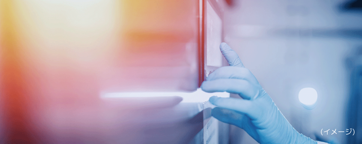 施工事例MAPAGCグラスプロダクツ株式会社