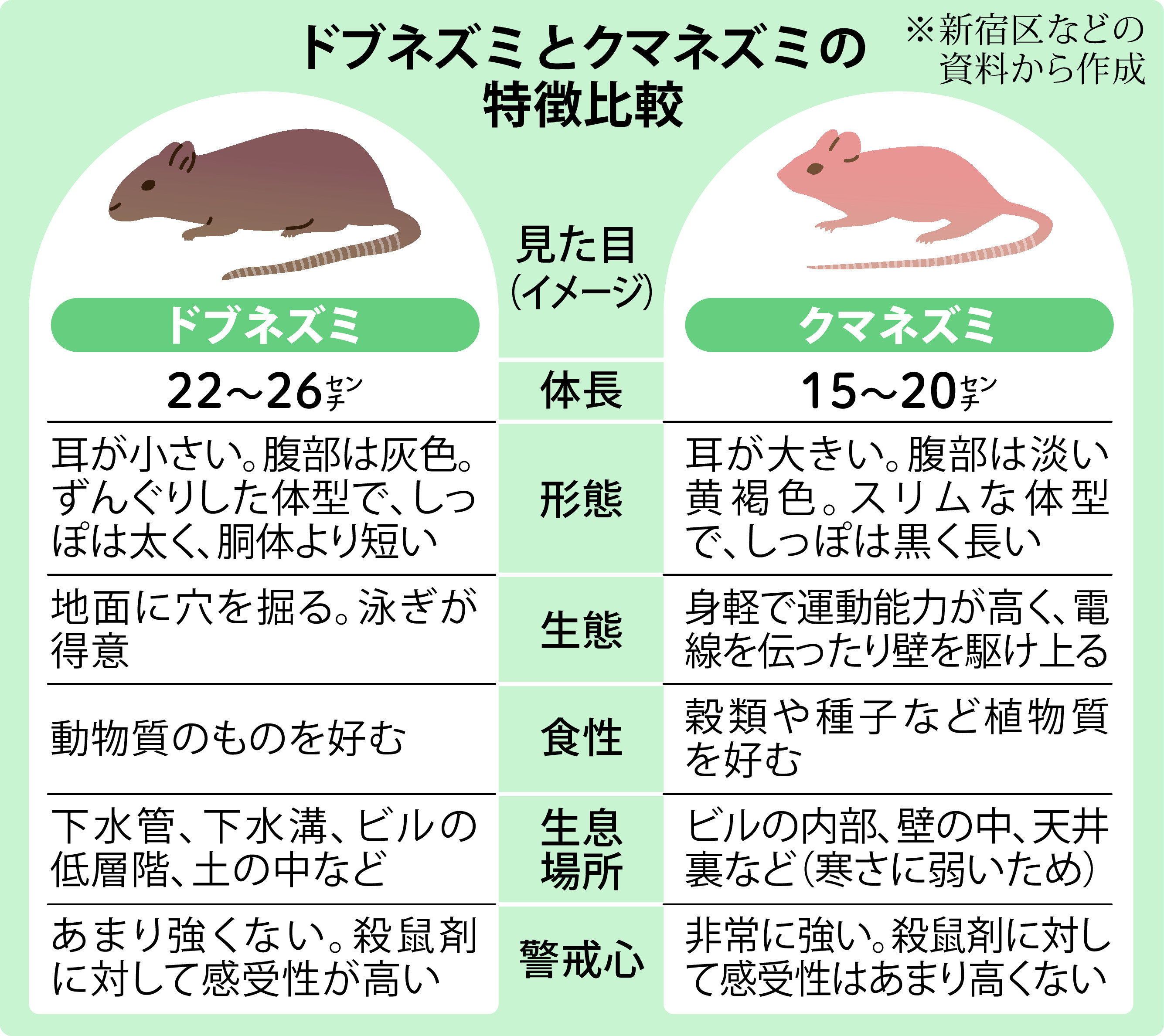 ちひろ美術館コレクション展 ねずみとはりねずみの絵本 世界初の絵本美術館安曇野ちひろ美術館