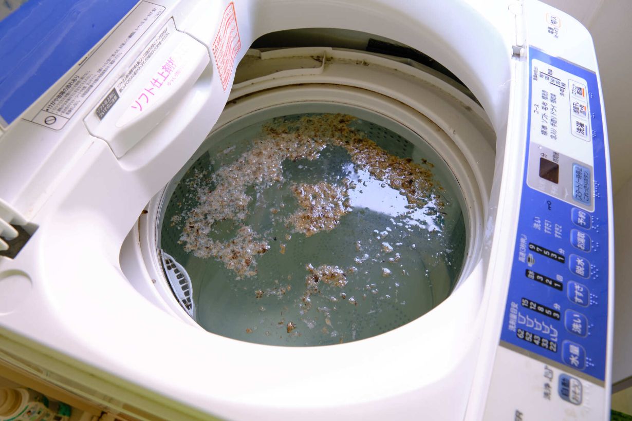 洗濯槽のオキシ漬けってぶっちゃけどう？後悔しないための注意点とは!?暮らしニスタ