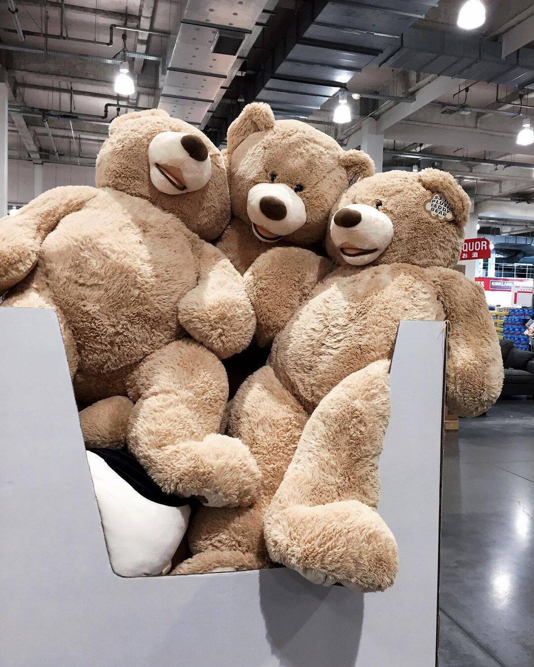 コストコ もふもふ クマ くま ぬいぐるみ 63cm ピンク クリーム オフホワイト ブラウン テディベア ベアー 誕生日 プレゼント おもちゃ :キャラメルカフェストア - 通販 - Yahoo!ショッピング