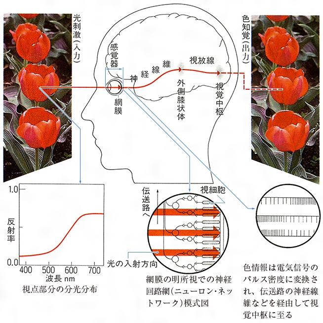 父母恩重経 第7回講座