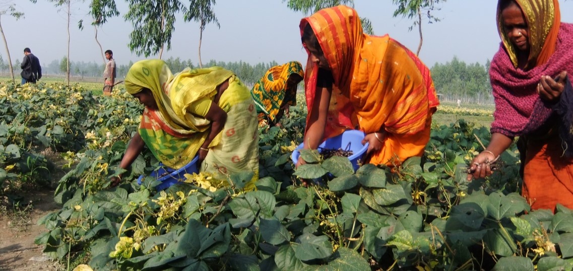 バングラデシュの国旗：歴史、色、象徴とその意味