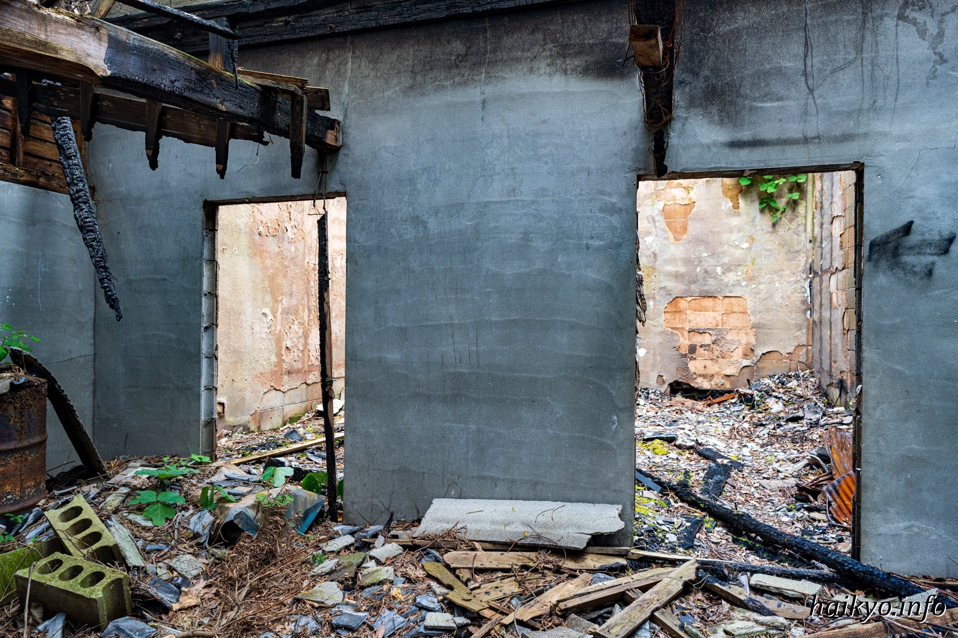 ayana꙳☆*ﾟ on X: 