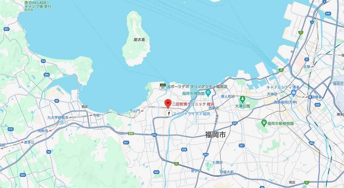 Googleマップ 旅行の計画に便利！ 行きたい場所のリストからマイマップに一括保存する方法できるネット