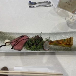 最短お届け可能選べるおまけ付Plaiaden プレイアーデン 犬用 100%Wild 贅沢ジビエ