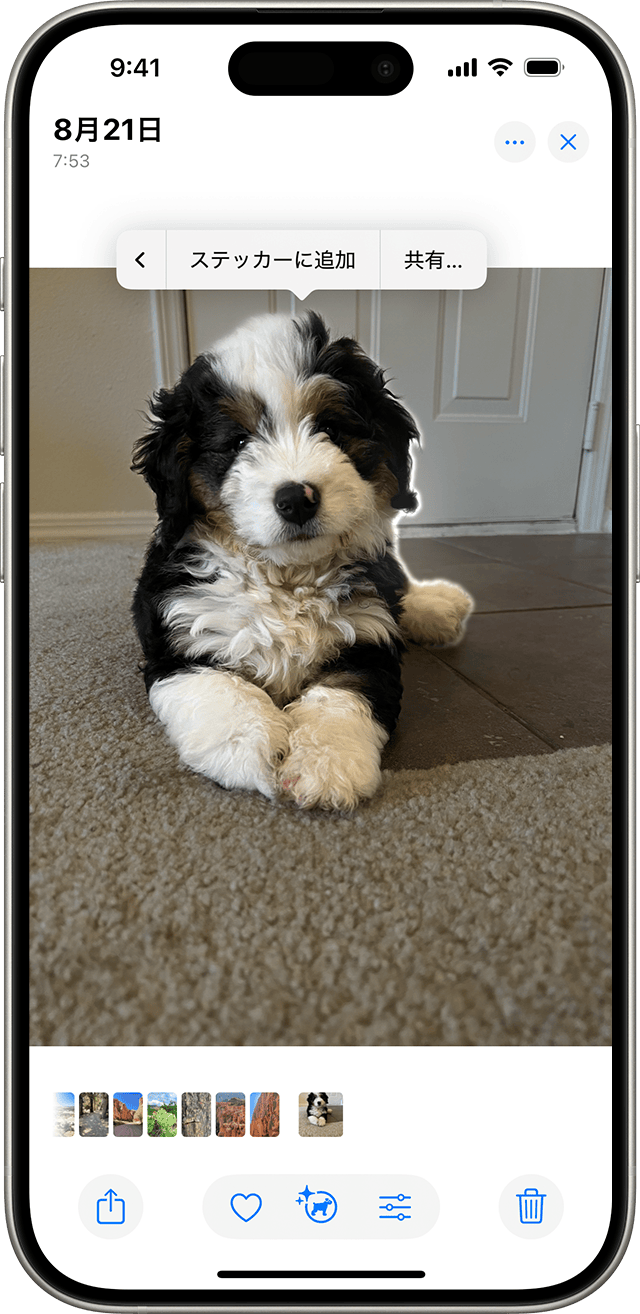 iOS 17の「ステッカー」機能が万能すぎる！iPhone機能だけで、好きが詰まったコラージュ画像を作っちゃお - isuta イスタ-私の“好き”にウソをつかない