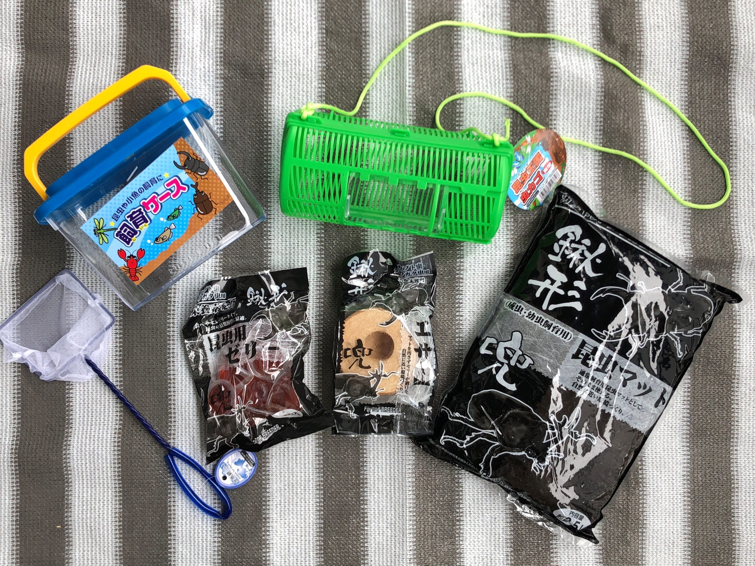 ダイソーの飼育ケース 500円 とオプションの仕切り板 100円 がメダカの選別にチョーベンリ？ - urakatahero“B”log