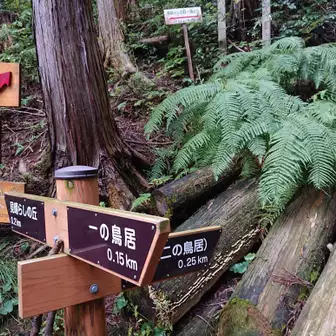 武蔵横手駅周辺の山岳ランキングTOP10 - じゃらんnet