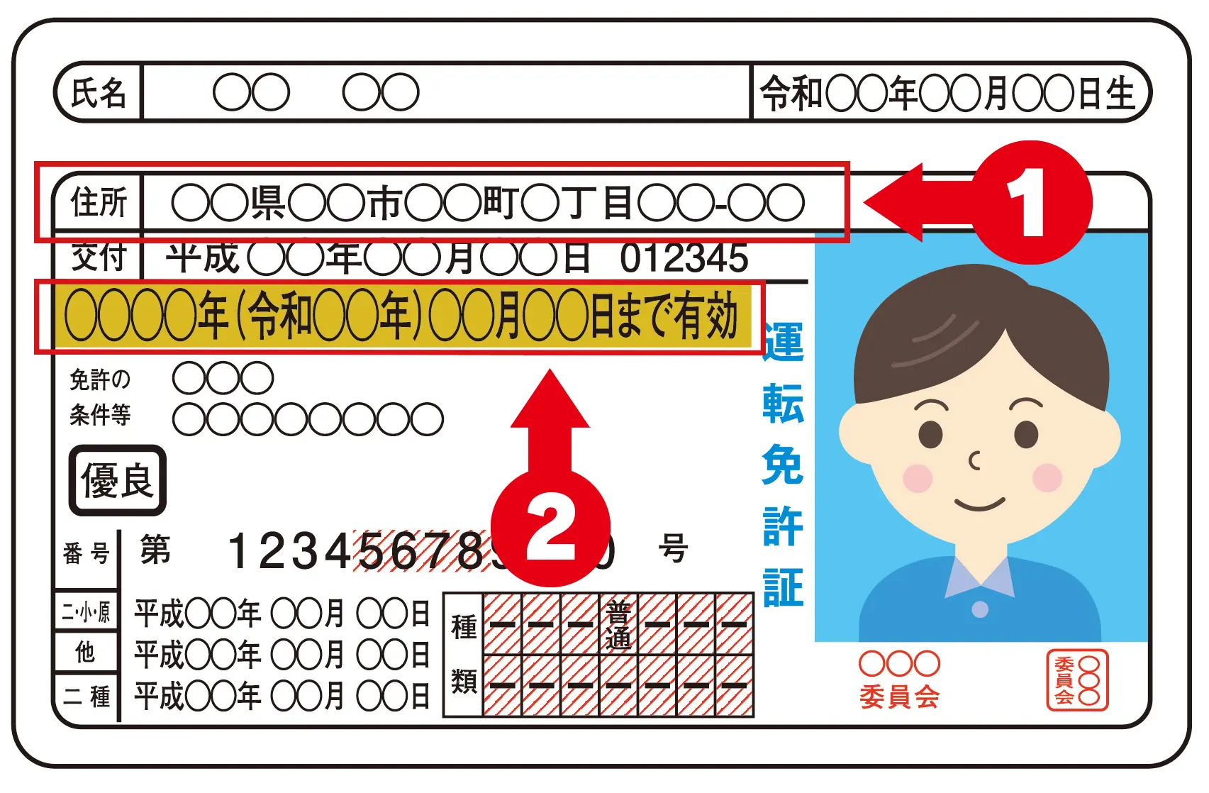 免許更新の年数は色だけじゃわからない！ ゴールドはもちろんブルーでも5年はあるAUTO MESSE WEB オートメッセウェブ～カスタム・アウトドア・福祉車両・モータースポーツなどのカーライフ情報が満載～