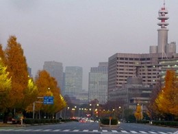 6：震災復興期から昭和前期の霞が関・永田町 ～ 霞が関・永田町このまちアーカイブス不動産購入・不動産売却なら三井住友トラスト不動産