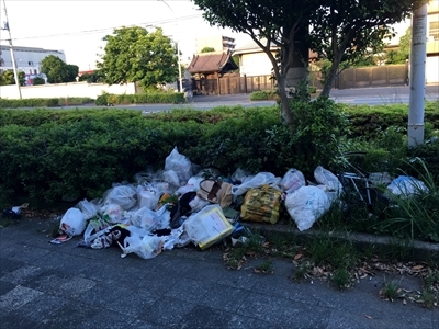 レビュー Nikon D80 再購入 ②日吉銀の備忘録