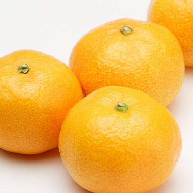 現役デザイナーが厳選 商用OK！無料で使える写真素材サイト10選 - コバブログ