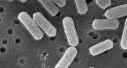 ワケワカメなマニアックな事が書かれているかもしれないし、そうではないかもしれない２０２３ ０２ １５昔の戦隊で変な問題が起きていたんですねNOVEL DAYS