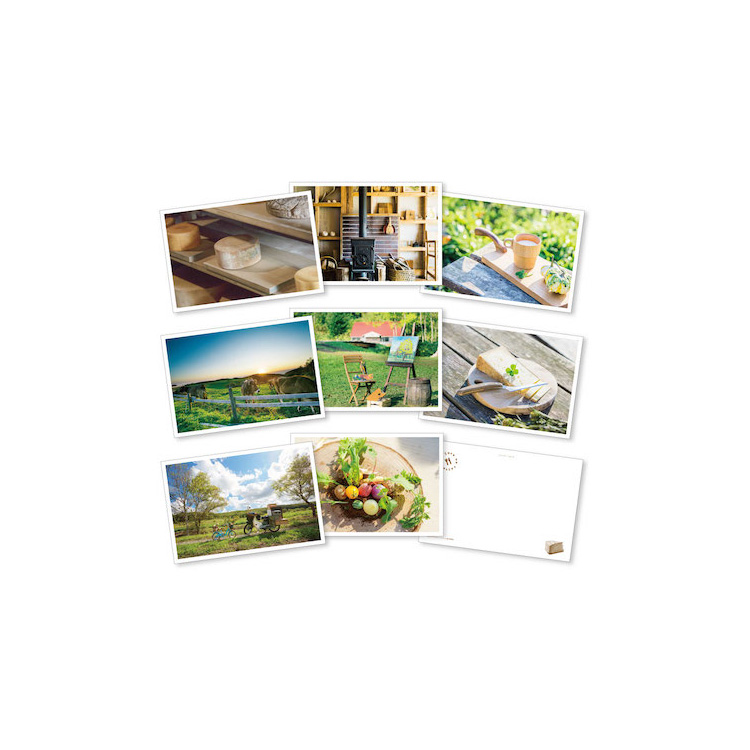 サンリオ - サンリオピューロランド 館のレストランポストカード6枚 サンリオの通販 by bean's shopサンリオならラクマ