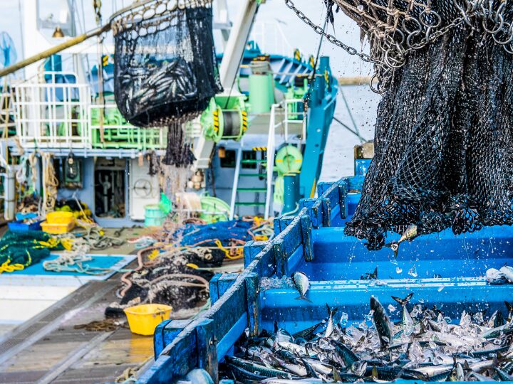 JAMARCの各種水産総合研究センター「開発調査センター」