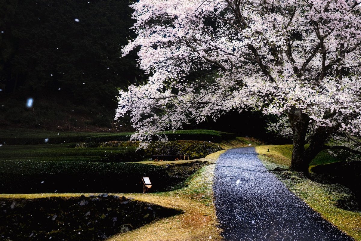 こどもＯＳランゲージ」 子どもの行動特性に学ぶアイデア発想法の構築 こどもＯS研究会