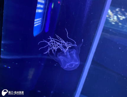 デプスマイクロチェッカ CD CD-150商品ミツトヨ