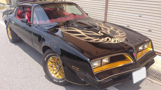 Amazon.co.jp: 1973 1974 1975 1976 1977 1978 ポンティアック ファイヤーバード トランザムデカール&ストライプキット - ゴールド クリア : 車＆バイク