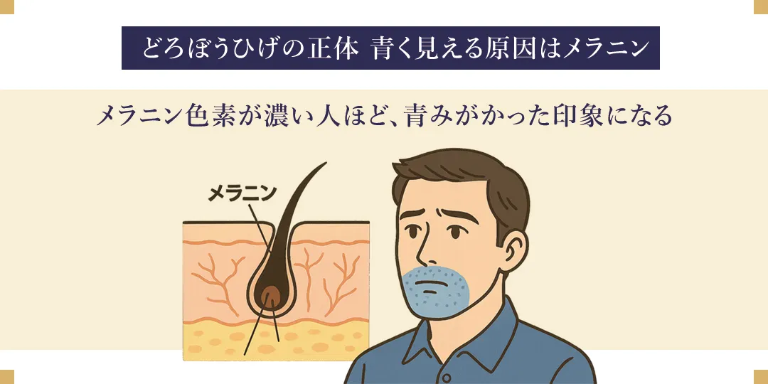 どろぼうひげの製作記