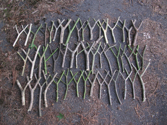 コリントゲーム 木パチンコ台自作 ◎簡単 ◎低料金 - YouTube