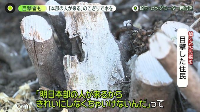 ビッグモーター - Wikipedia