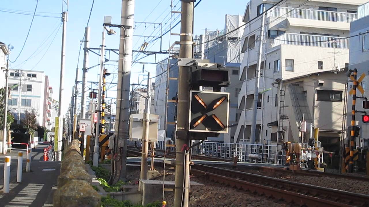 えいだんねこ on X: 