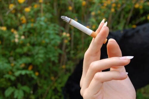 楽天市場 KENBLOOD ケンブラッド タバコ シルバーネックレス 煙草 ペンダント シルバー925 メンズネックレス スティック ネックレスメンズ CZ ジルコニア シルバー ゴールド たばこ シガー プレゼント かっこいい ブランド : 新宿 銀の蔵 シルバーアクセサリ