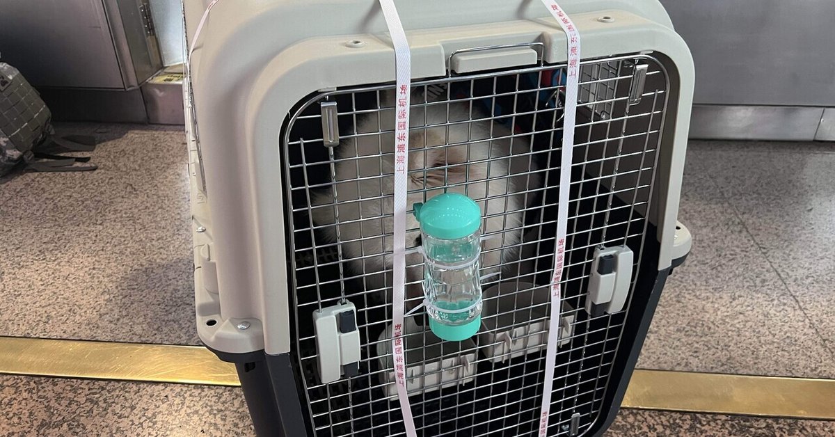 飛行機内の荷物室と貨物室は、乗客のバッグや荷物で、検査中に開きますの写真素材・画像素材 Image 103291857