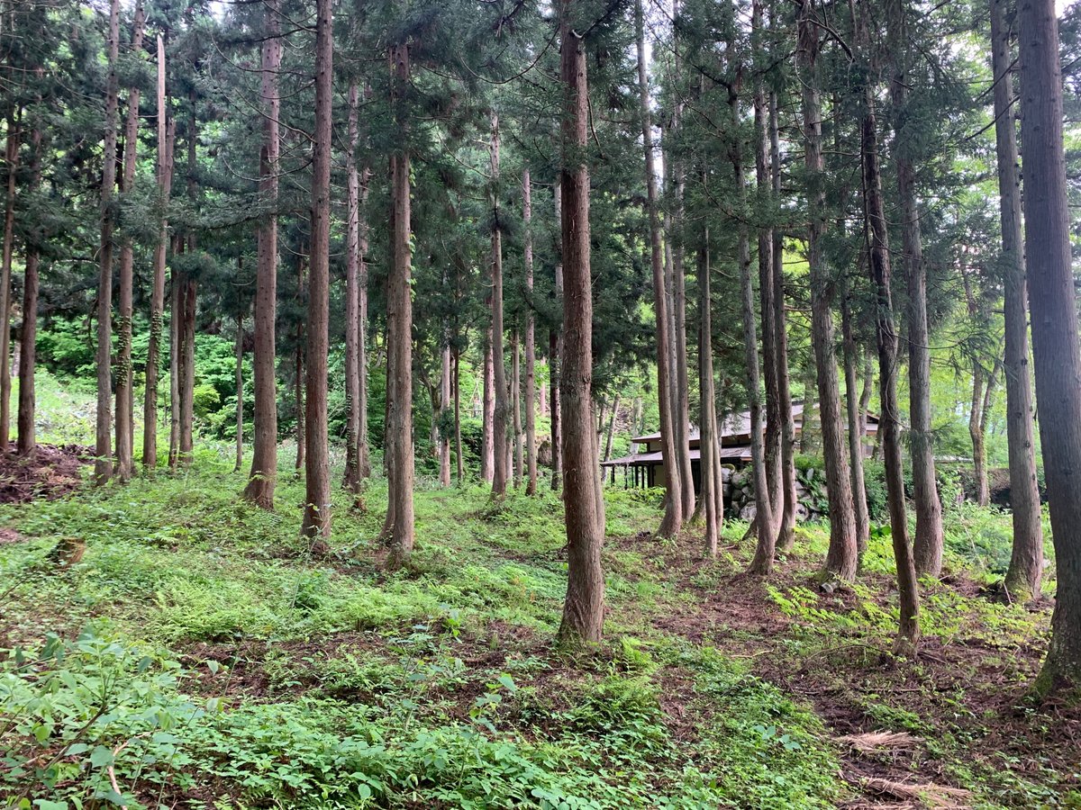 杉林建設 株@sugibayashi_cns• Instagram photos and videos