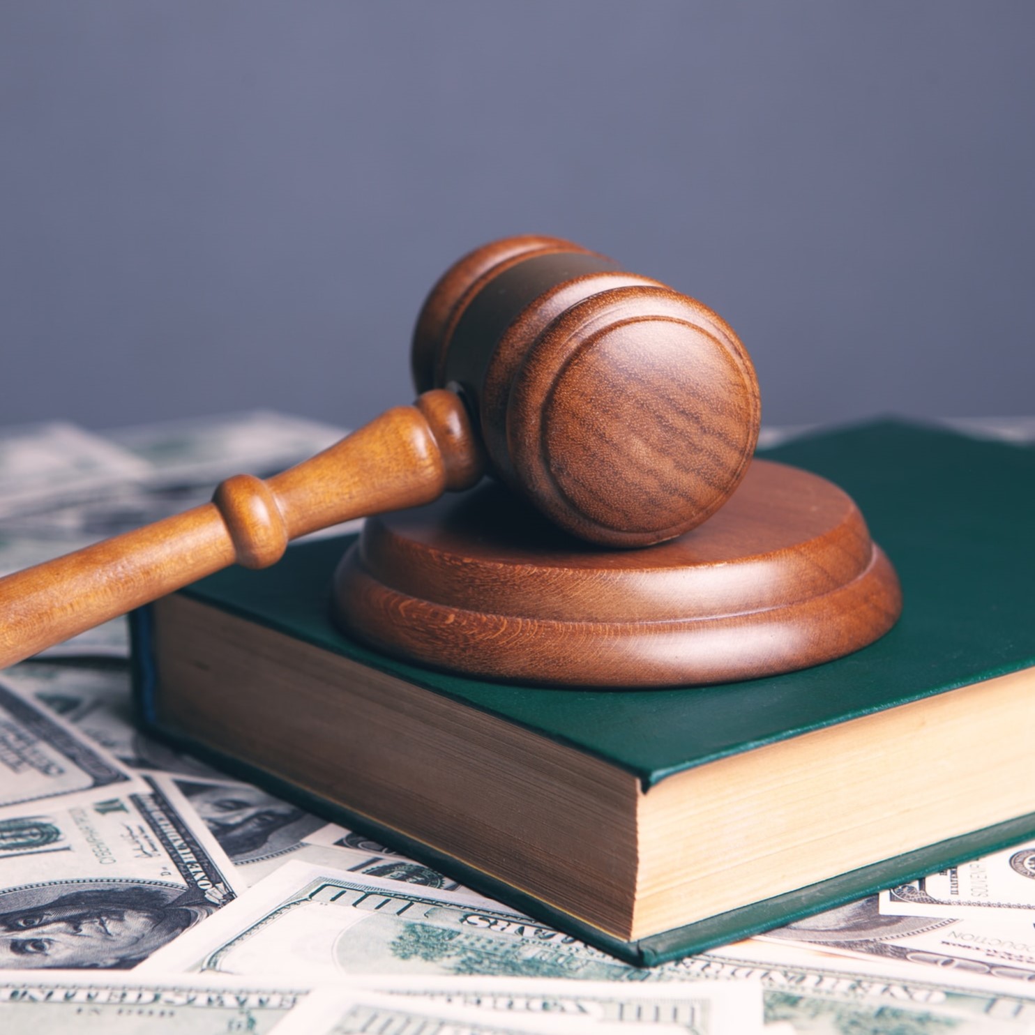 犬と猫は喧嘩してはいけない？！世界の動物にまつわるヘンな法律Tierzine ティアジン